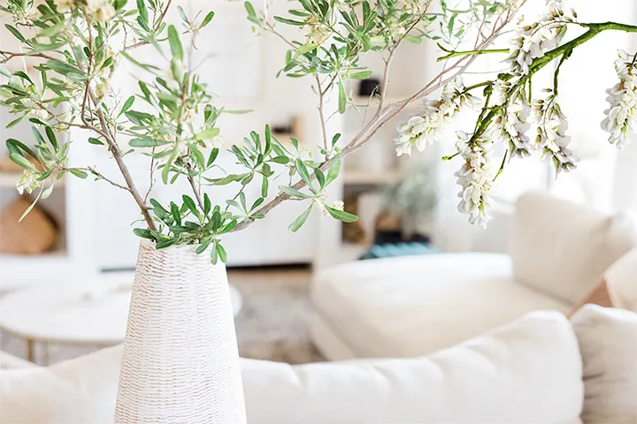 Fresh air in living room