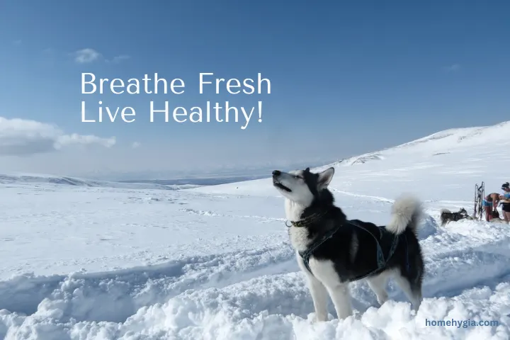 can air purifiers remove odors