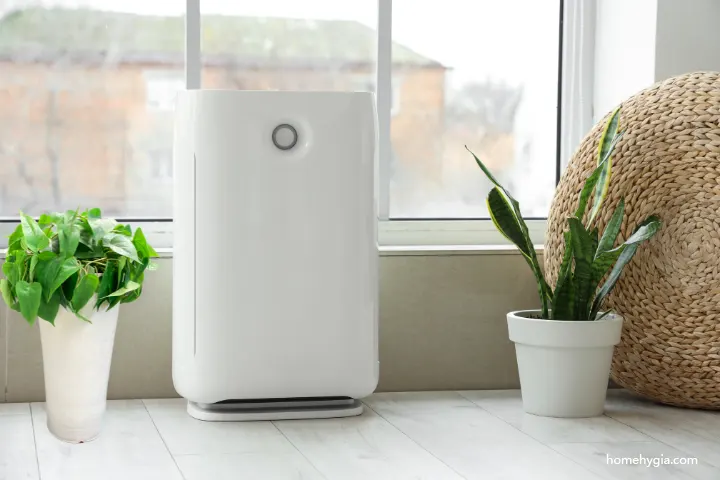 whole house air purifier