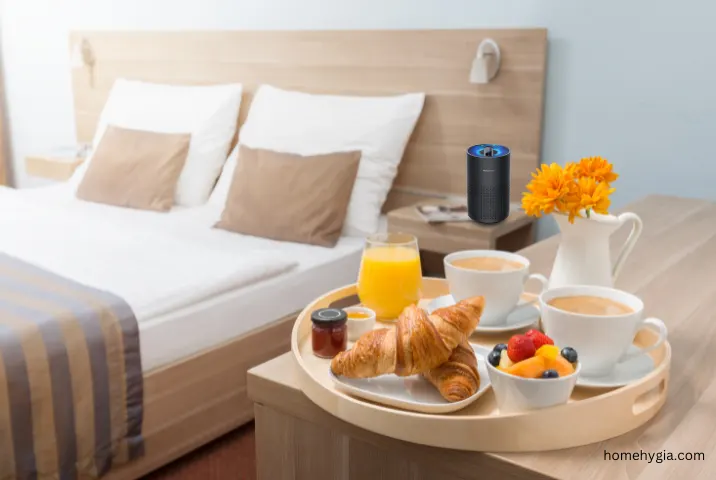 portable air purifier for travel