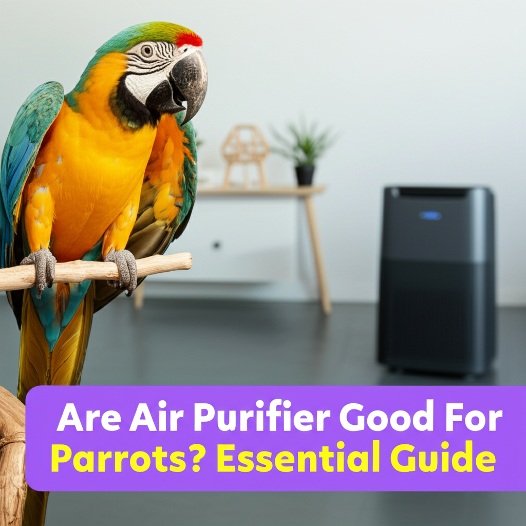 Generate a high-quality, relevant image prompt for an article about: Are Air Purifier Good For Parro