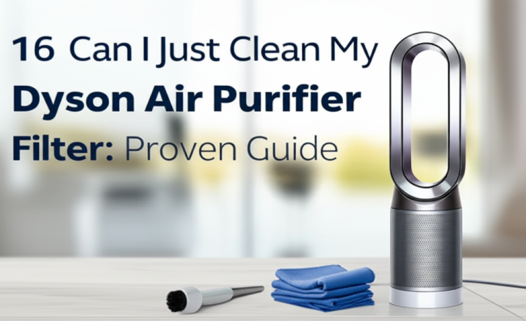 Can I Just Clean My Dyson Air Purifier Filter: Proven Guide