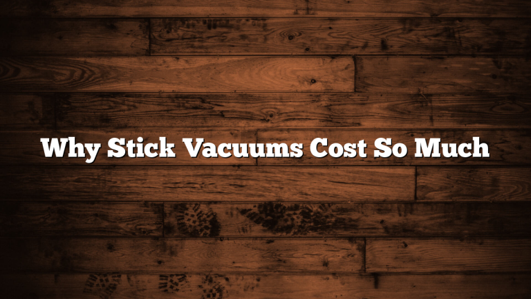 Why Stick Vacuums Cost So Much