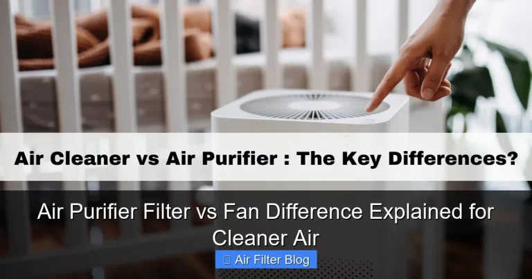Air Purifier Filter vs Fan Difference Explained for Cleaner Air