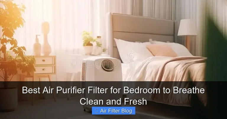 Best Air Purifier Filter for Bedroom to Breathe Clean and Fresh