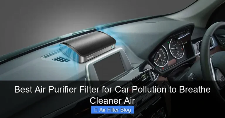 Best Air Purifier Filter for Car Pollution to Breathe Cleaner Air