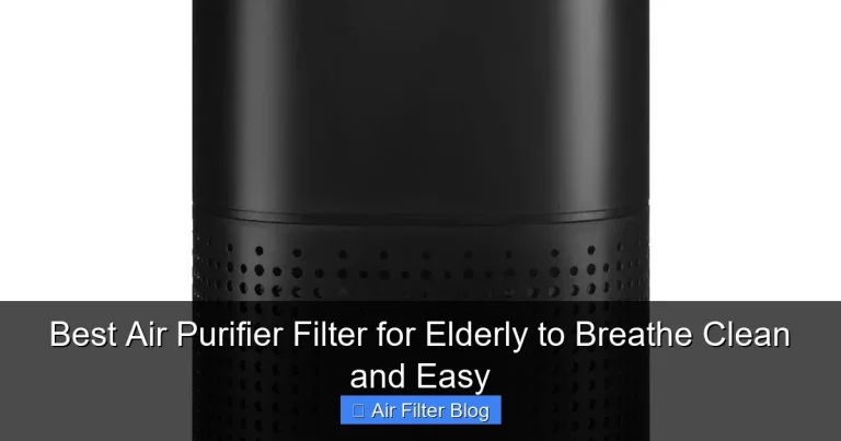 Best Air Purifier Filter for Elderly to Breathe Clean and Easy