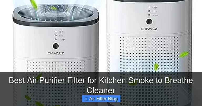 Best Air Purifier Filter for Kitchen Smoke to Breathe Cleaner