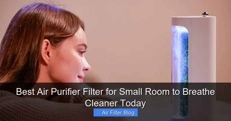 Best Air Purifier Filter for Small Room to Breathe Cleaner Today