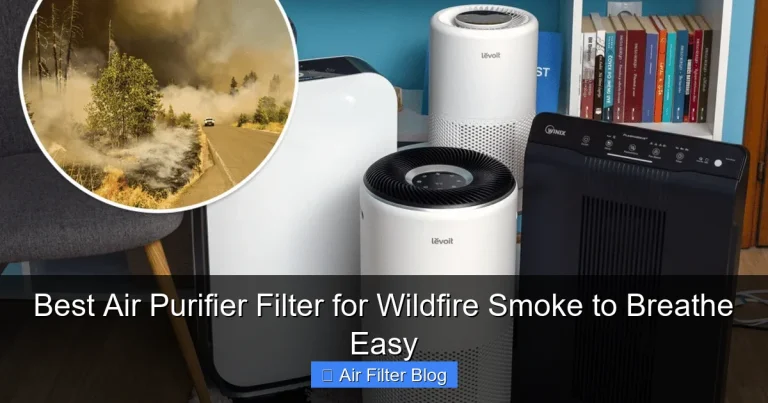 Best Air Purifier Filter for Wildfire Smoke to Breathe Easy