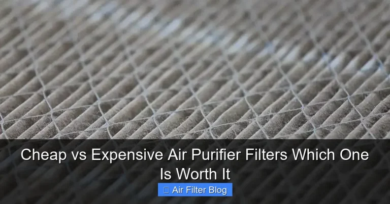Cheap vs Expensive Air Purifier Filters Which One Is Worth It