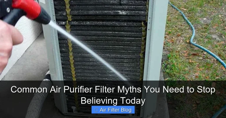 Common Air Purifier Filter Myths You Need to Stop Believing Today