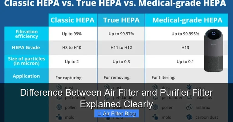 Difference Between Air Filter and Purifier Filter Explained Clearly