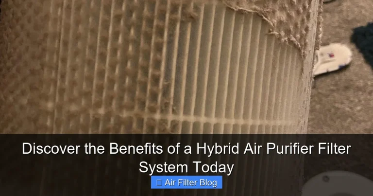 Discover the Benefits of a Hybrid Air Purifier Filter System Today