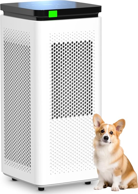 H13 True HEPA Air Purifier for Large Rooms up to 3500 Ft² with PM2.5 D