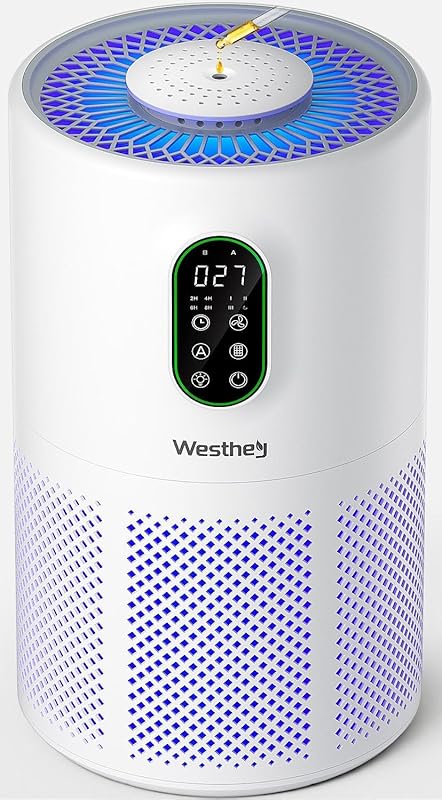 WESTHEY H13 HEPA Air Purifier for Large Rooms, Washable Filter, Auto M