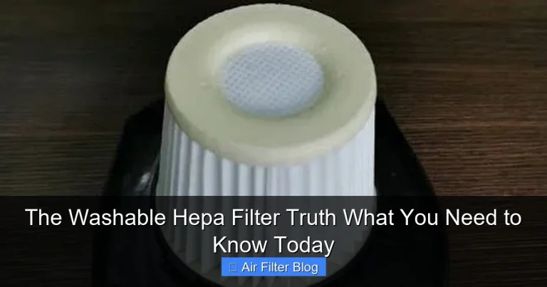 The Washable Hepa Filter Truth What You Need to Know Today