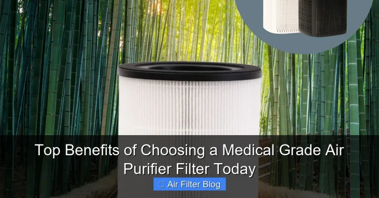Top Benefits of Choosing a Medical Grade Air Purifier Filter Today