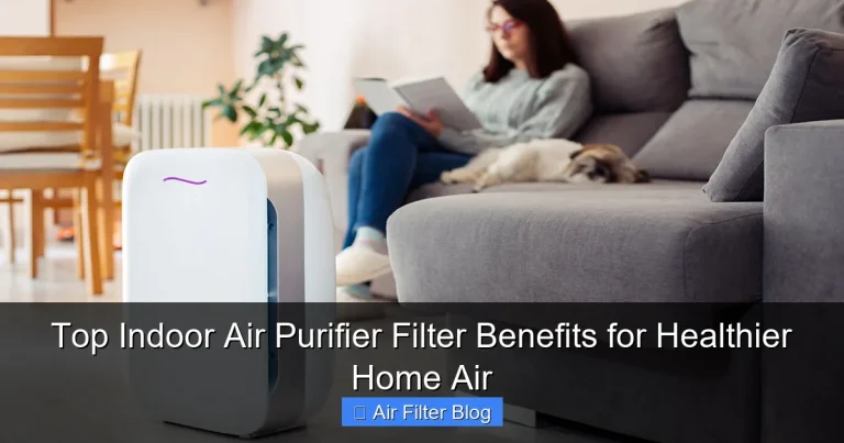 Top Indoor Air Purifier Filter Benefits for Healthier Home Air