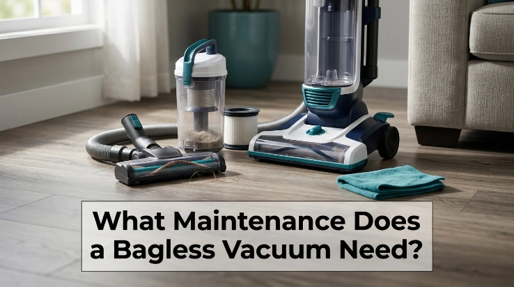What maintenance does a bagless vacuum need, showing bin, filter, brush roll, and hose care.