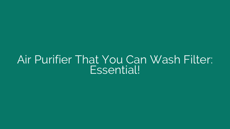 Air Purifier That You Can Wash Filter: Essential!