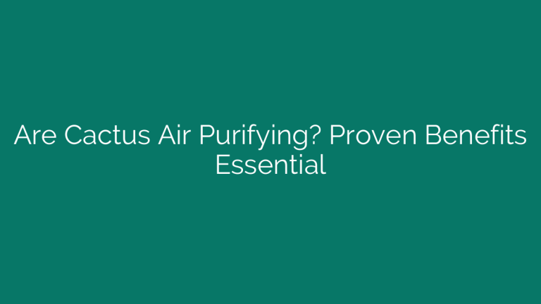Are Cactus Air Purifying? Proven Benefits Essential