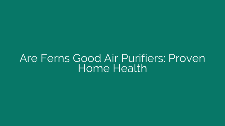 Are Ferns Good Air Purifiers: Proven Home Health