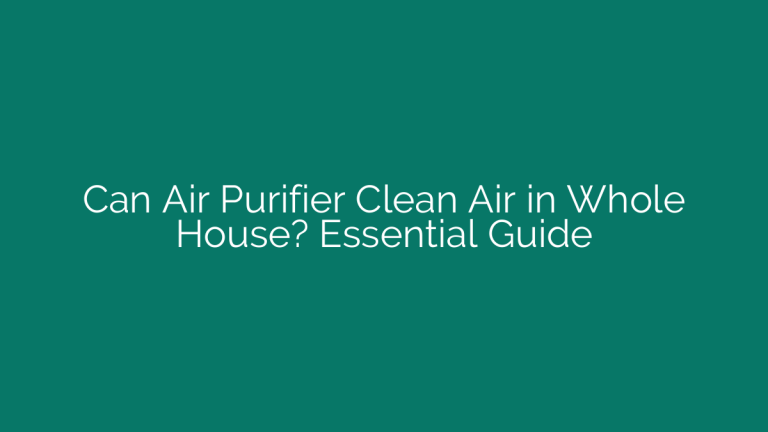 Can Air Purifier Clean Air in Whole House? Essential Guide