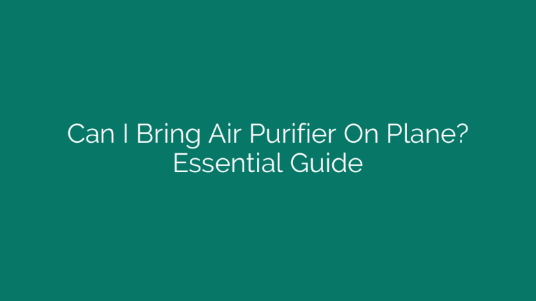 Can I Bring Air Purifier On Plane? Essential Guide