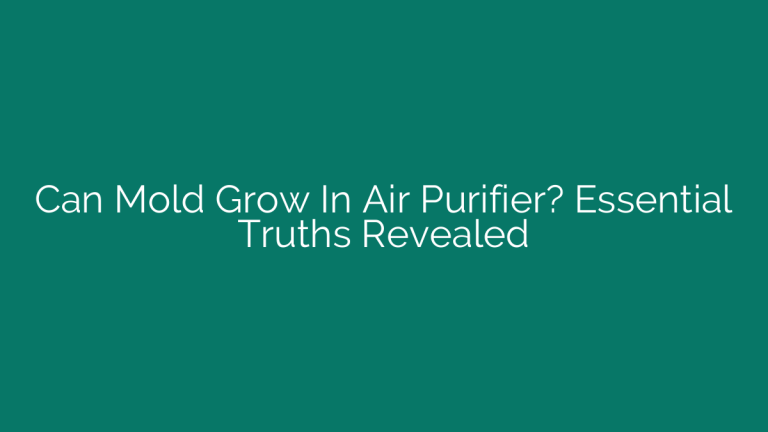 Can Mold Grow In Air Purifier? Essential Truths Revealed