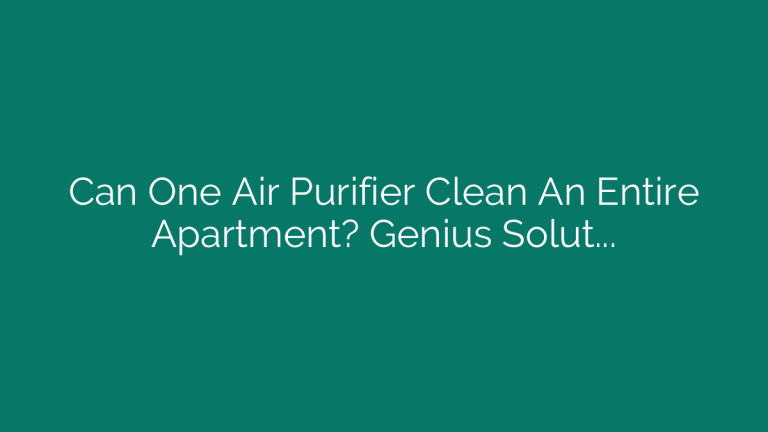 Can One Air Purifier Clean An Entire Apartment? Genius Solution