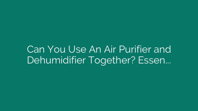 Can You Use An Air Purifier and Dehumidifier Together? Essential Guide