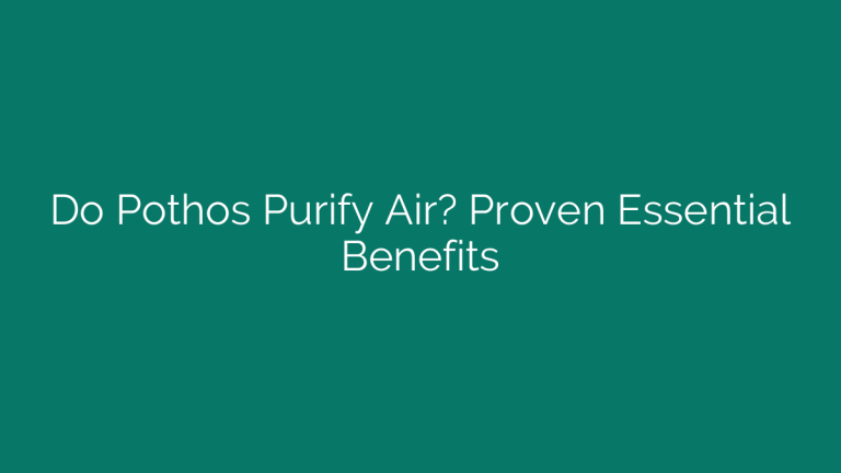 Do Pothos Purify Air? Proven Essential Benefits