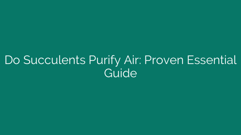 Do Succulents Purify Air: Proven Essential Guide