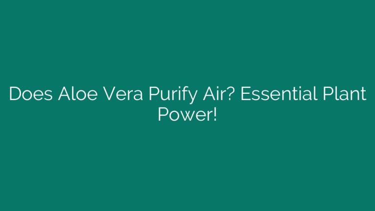 Does Aloe Vera Purify Air? Essential Plant Power!