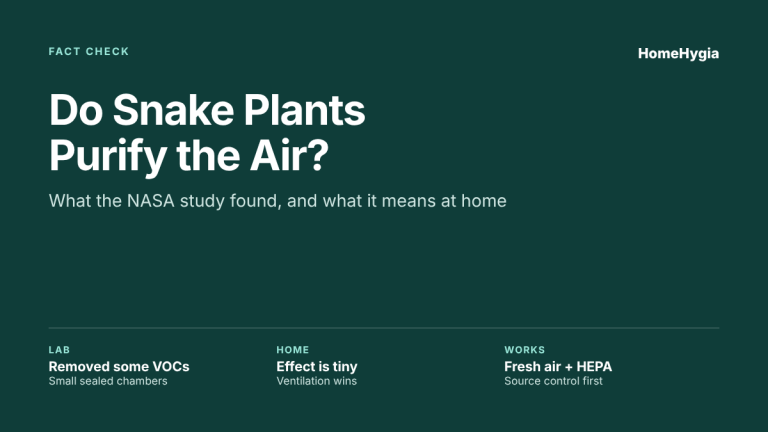 Do snake plants purify the air fact check