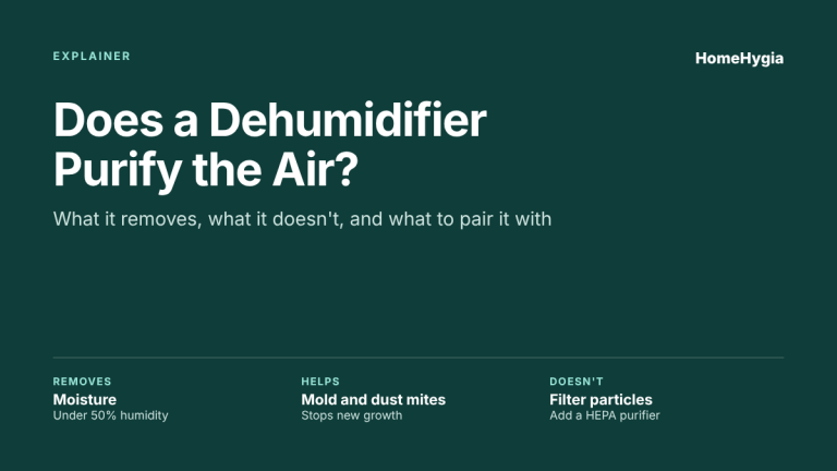 Does a dehumidifier purify the air explainer